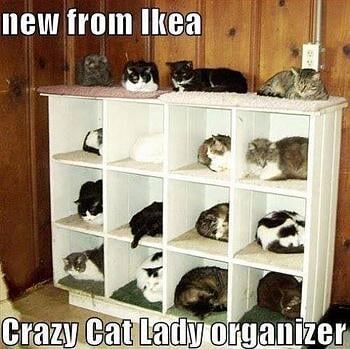 Cat_Lady_Organizer