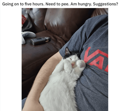 5 hour cat