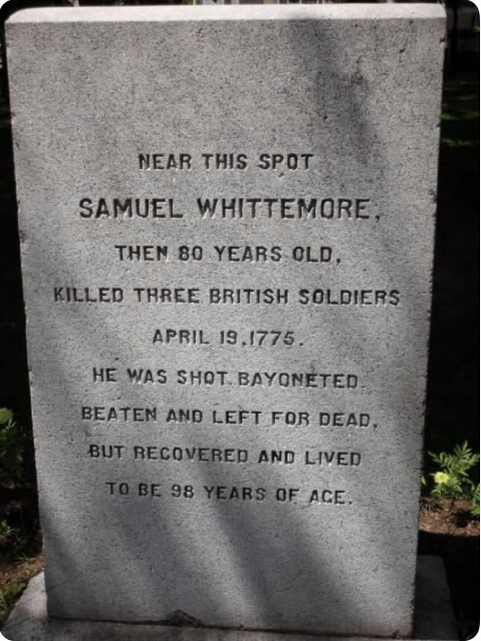 80 yo Revolutionary