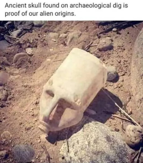 Ancient Skull
