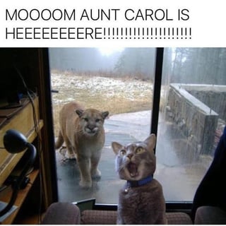 Aunt Carol.jpg