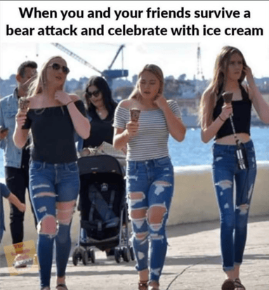 Bear Attack