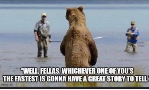 Bear and Fisherman