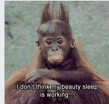 Beauty Sleep