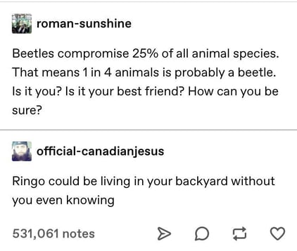 Beetle