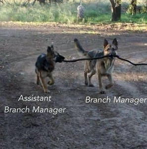 Branch Manager.jpg