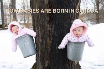 Canadian Babies-1