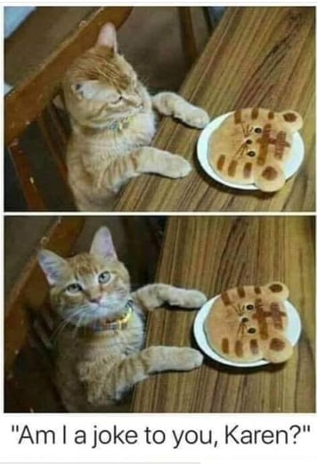 Cat Cookie