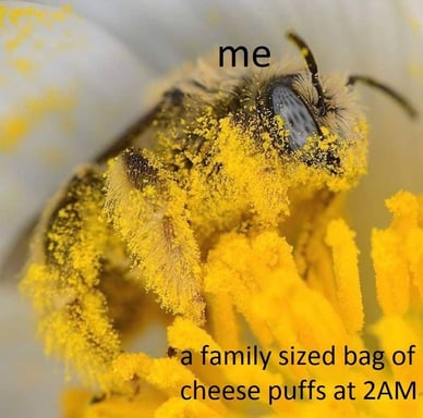 Cheese puffs