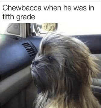 Chewbaca