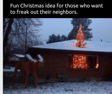 Christmas Tree Through Roof