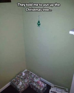 Christmas Tree.jpg