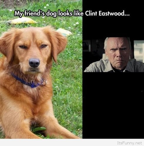 Clint-Eastwood-Dog