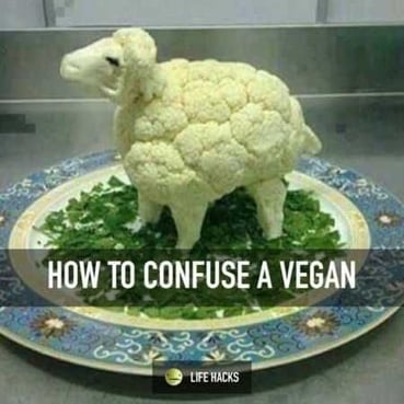 Confuse Vegan-1