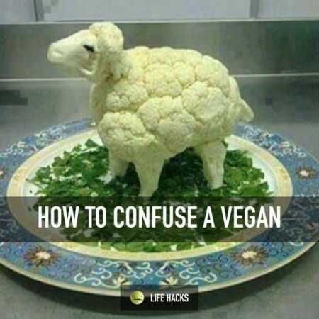 Confuse Vegan-2