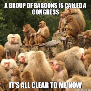 Congress.jpg