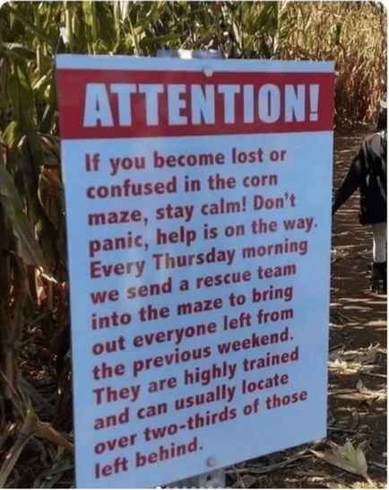 Corn Maze