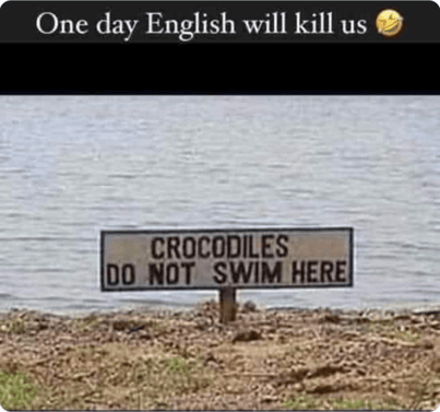 Crocodiles-1