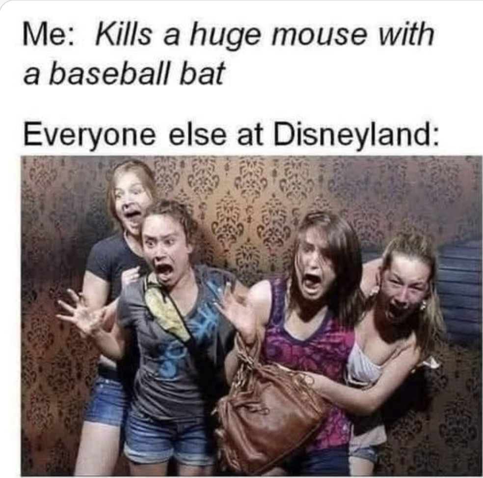 Disneyland
