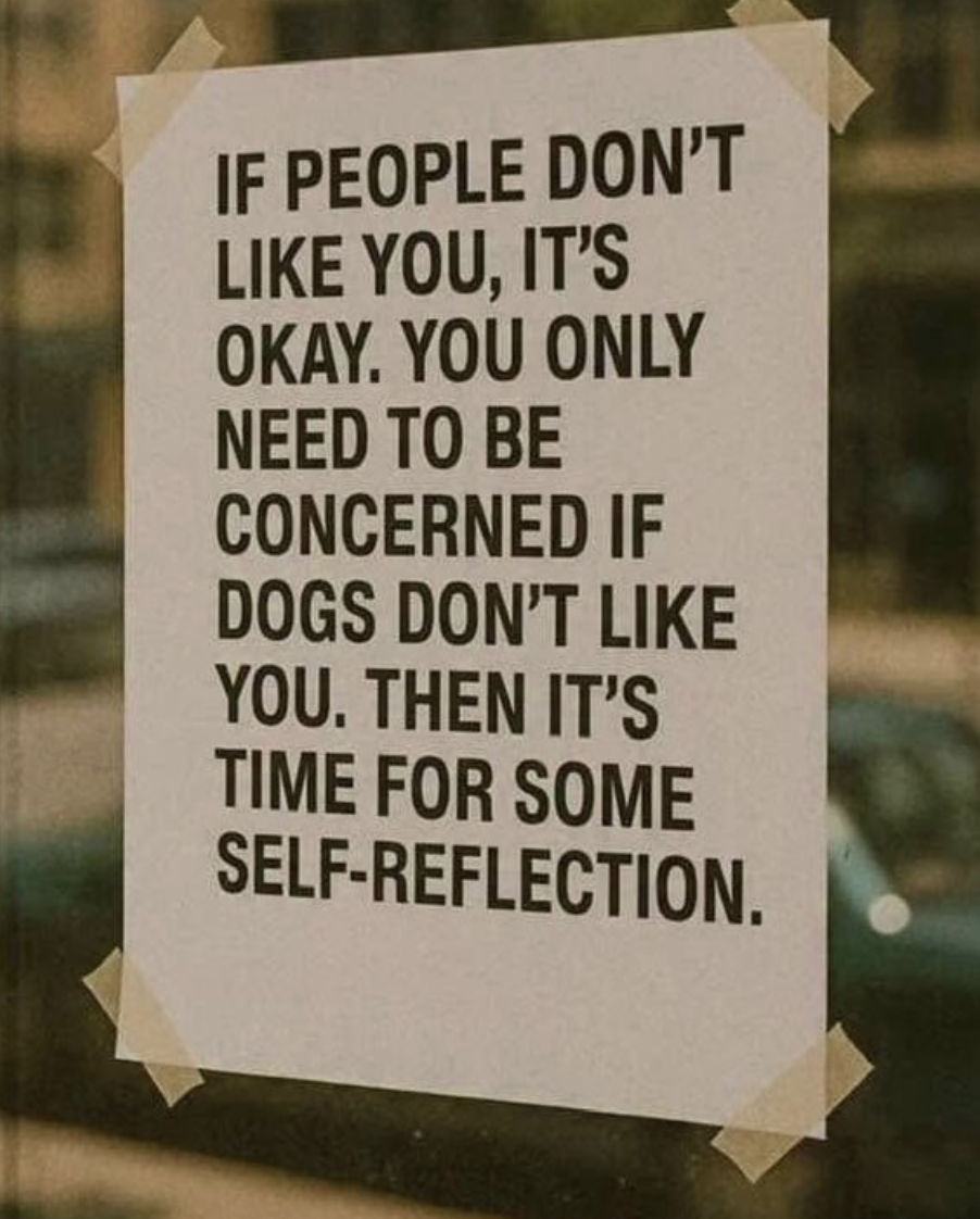 Dog Affection