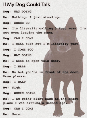 Dog Talk