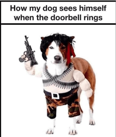 Door Bell Dog-1