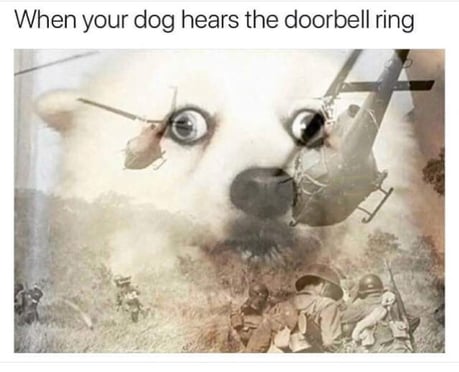 Doorbell 2