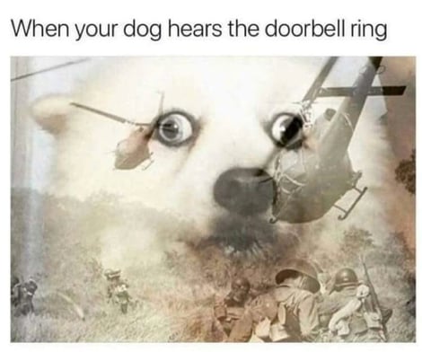 Doorbell