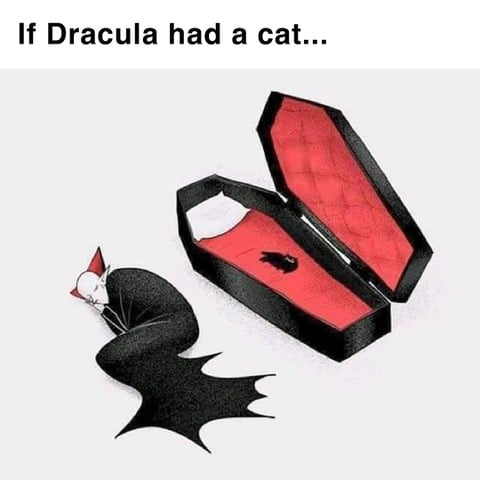 Draculas Cat