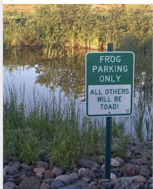 Frog Parking