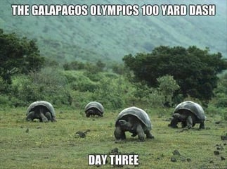 Galapagos-1