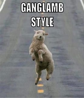 Ganglamb Pic.jpg