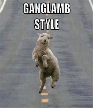 Ganglamb_Pic.jpg