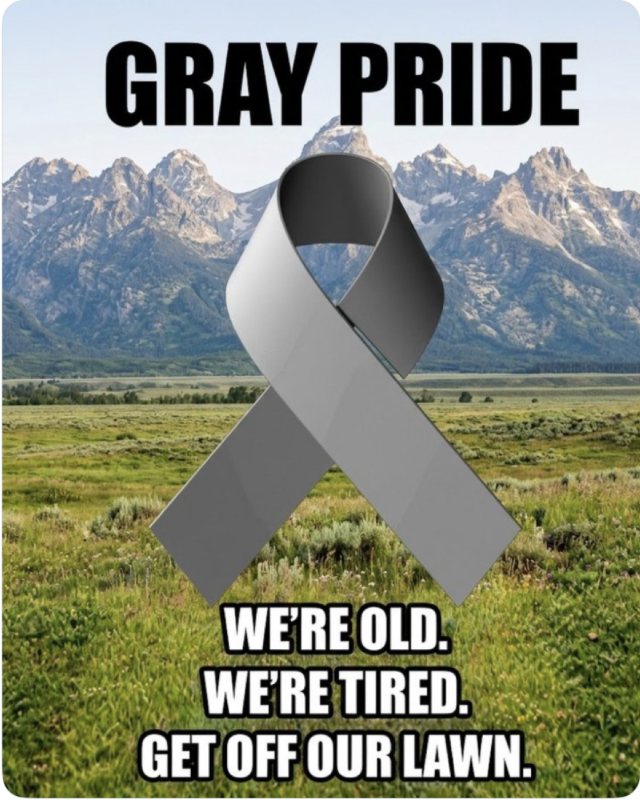 Gray Pride