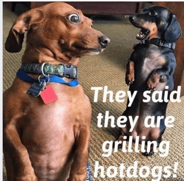 Grilling Hot Dogs