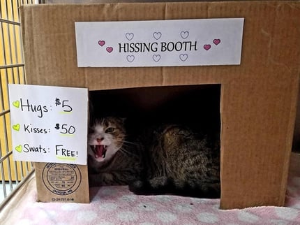 Hissing Booth