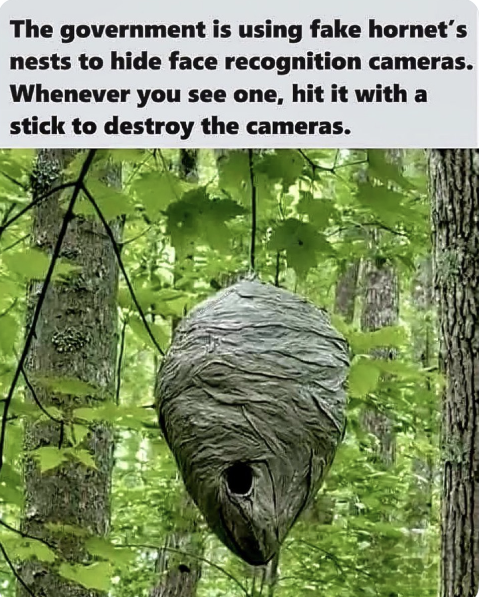 Hornets Nest