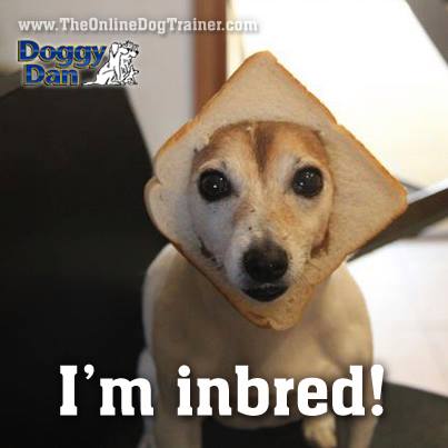 Inbred-1