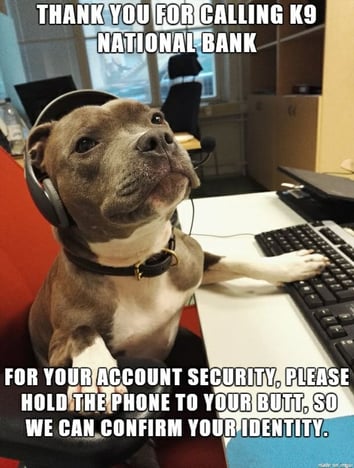 K9 Bank