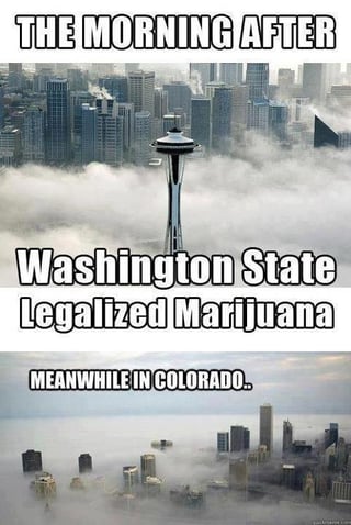 Legalized-1.jpg