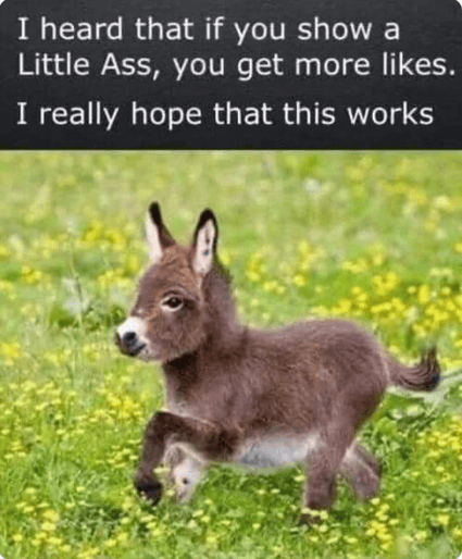 Little Ass