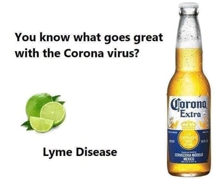 Lyme Disease