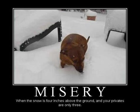 Misery