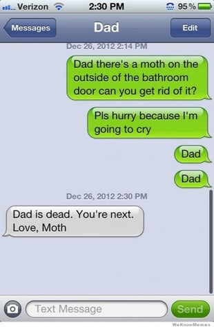 Moth