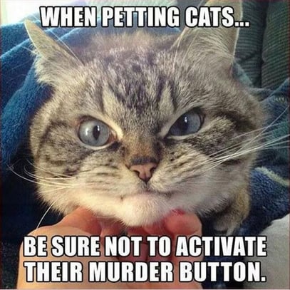 Murder Button-1