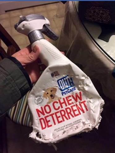 No Chew