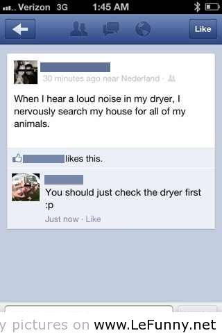 Noise in Dryer