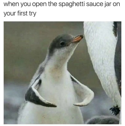 Penguin2