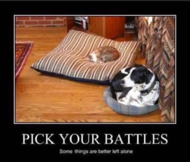 Pick battle-1