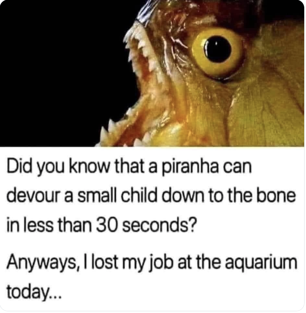 Pirrhana Eats Child